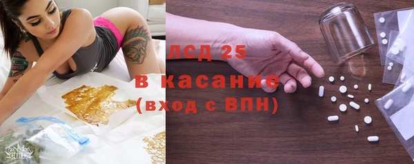 эйфоретик Бородино
