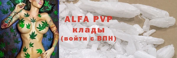 эйфоретик Бородино
