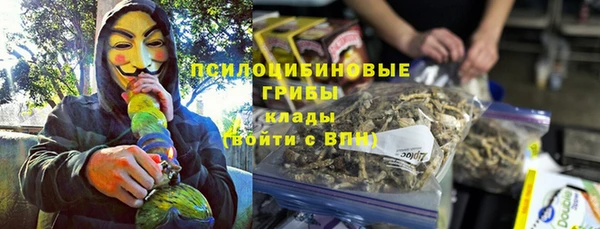 эйфоретик Бородино