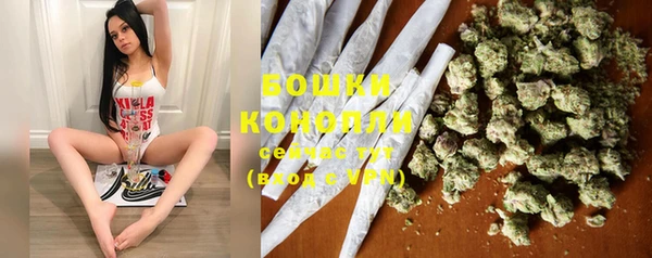 эйфоретик Бородино
