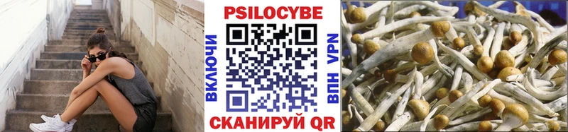 Псилоцибиновые грибы GOLDEN TEACHER  Вельск 